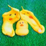 فیجت شنی جوجه یویو